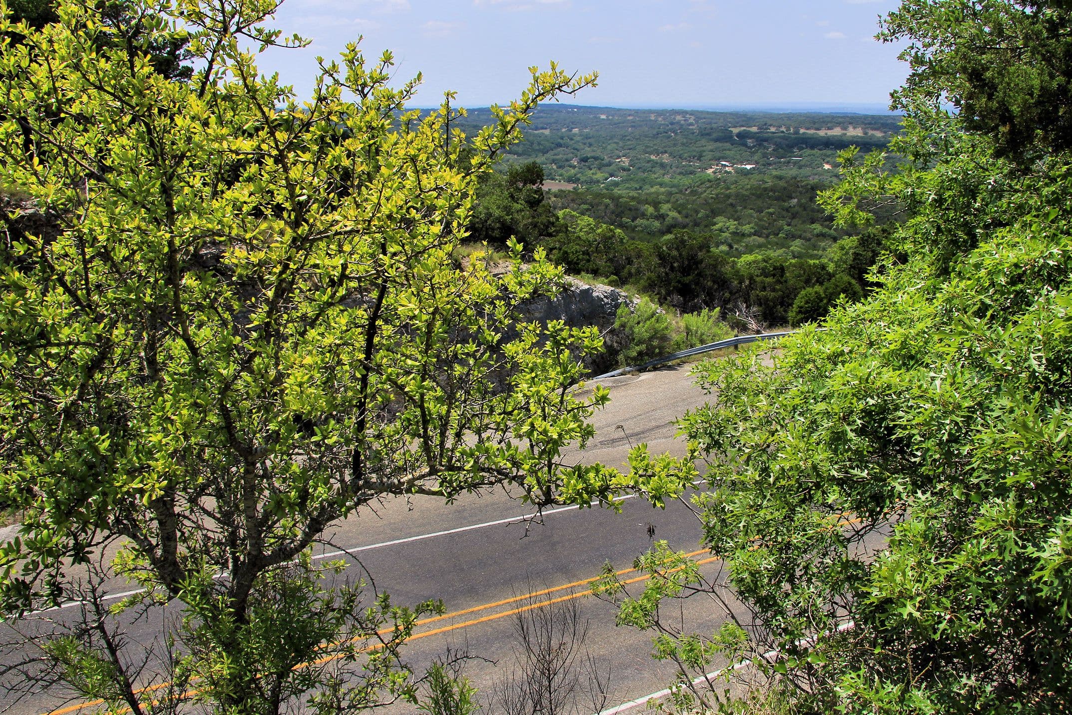 A two-lane country highway with a double yellow centre line curving through a rocky cut, viewed from above through green oak branches. A metal guardrail lines the outer edge and wooded hills stretch to the horizon beyond.